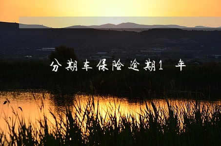 分期车保险逾期1年 分期车保险逾期1年
