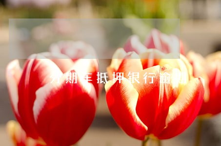 分期车抵押银行逾期