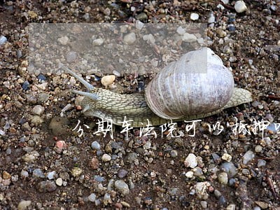 分期车法院可以抵押吗 分期车法院可以抵押吗
