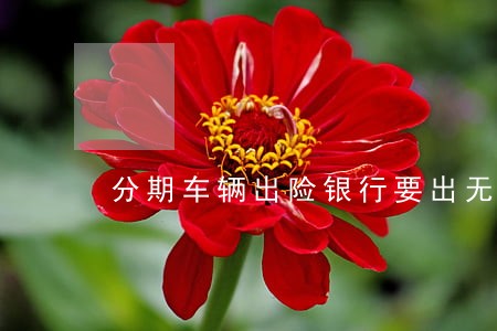 分期车辆出险银行要出无逾期证明 分期车辆出险银行要出无逾期证明