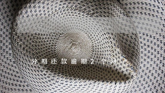 分期还款逾期2个月 分期还款逾期2个月