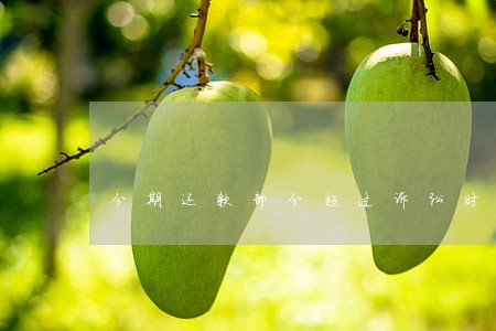 分期还款部分超过诉讼时效