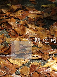 分期还网贷逾期了 分期还网贷逾期了