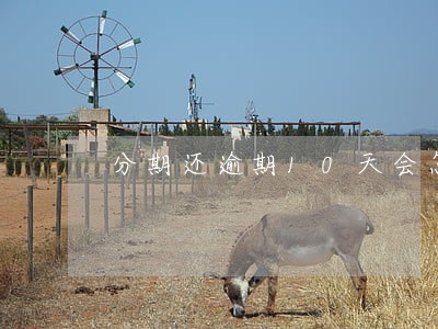 分期还逾期10天会怎么样