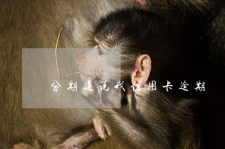 分期通说我信用卡逾期 分期通说我信用卡逾期