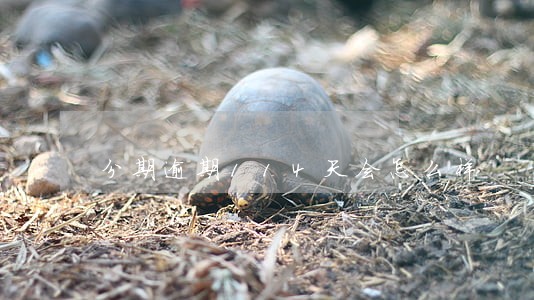 分期逾期114天会怎么样 分期逾期114天会怎么样
