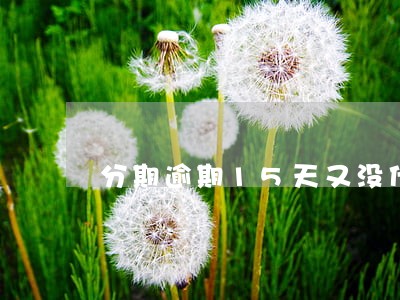 分期逾期15天又没什么事吧 分期逾期15天又没什么事吧