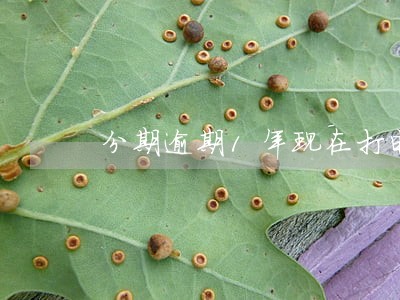 分期逾期1年现在打电话