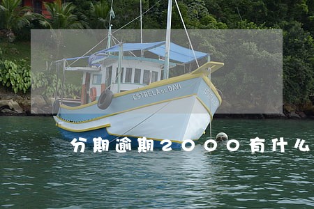 分期逾期2000有什么后果