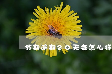 分期逾期20天会怎么样