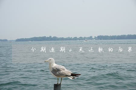 分期逾期2天还款的后果