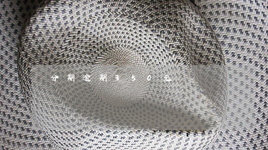 分期逾期350元 分期逾期350元