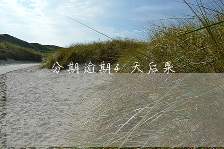 分期逾期4天后果 分期逾期4天后果