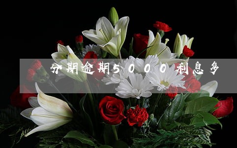 分期逾期5000利息多 分期逾期5000利息多