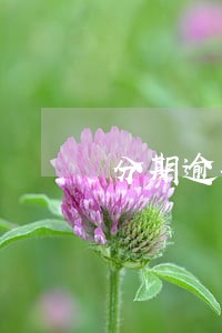 分期逾期5天会怎么样 分期逾期5天会怎么样