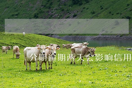 分期逾期两天会影响信用吗 分期逾期两天会影响信用吗