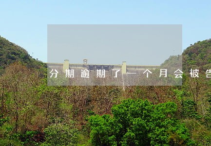 分期逾期了一个月会被告吗