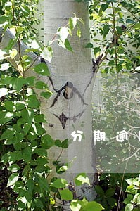 分期逾期了贷款能行吗 分期逾期了贷款能行吗