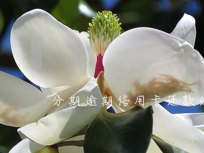 分期逾期信用卡还款逾期 分期逾期信用卡还款逾期