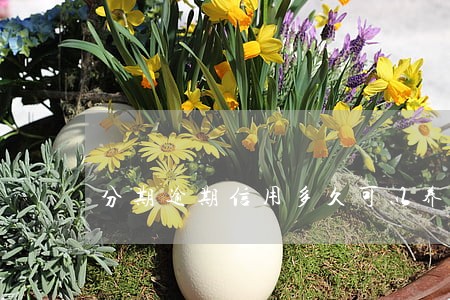分期逾期信用多久可以养回 分期逾期信用多久可以养回