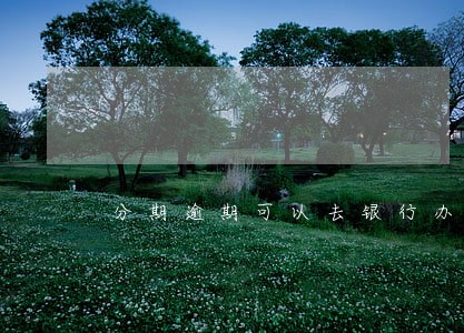 分期逾期可以去银行办银行卡吗