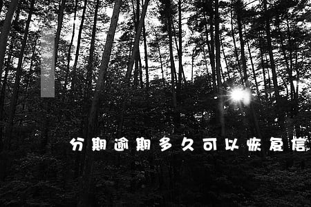 分期逾期多久可以恢复信用 分期逾期多久可以恢复信用
