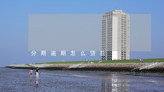 分期逾期怎么贷款