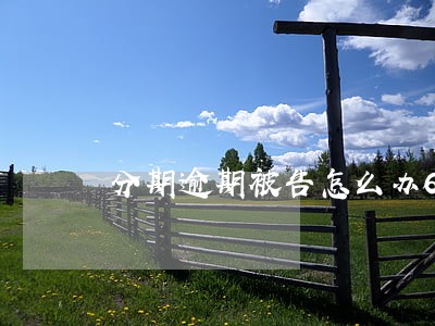 分期逾期被告怎么办6 分期逾期被告怎么办6