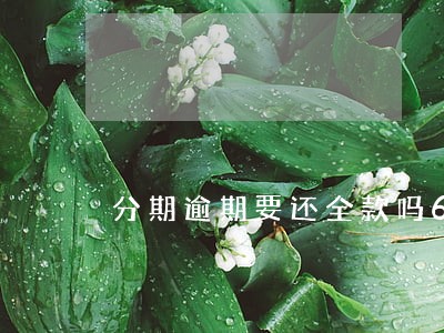 分期逾期要还全款吗6 分期逾期要还全款吗6