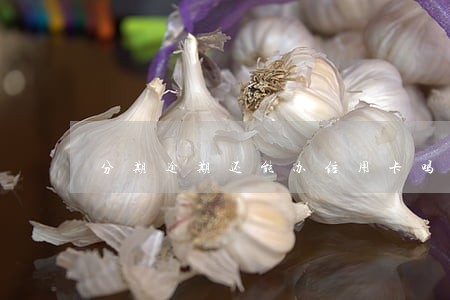 分期逾期还能办信用卡吗 分期逾期还能办信用卡吗