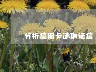 分析信用卡逾期征信 分析信用卡逾期征信