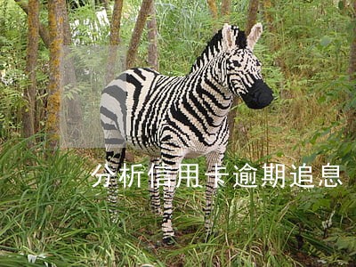 分析信用卡逾期追息 分析信用卡逾期追息