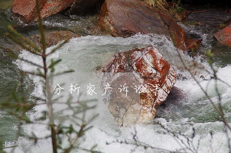 分析家产诉讼书