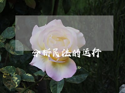 分析民法的运行