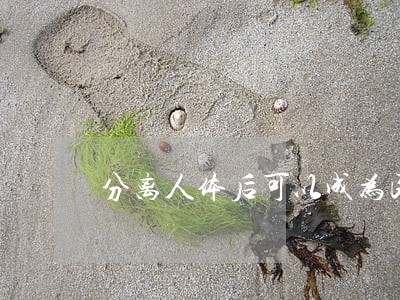 分离人体后可以成为民法上的物 分离人体后可以成为民法上的物