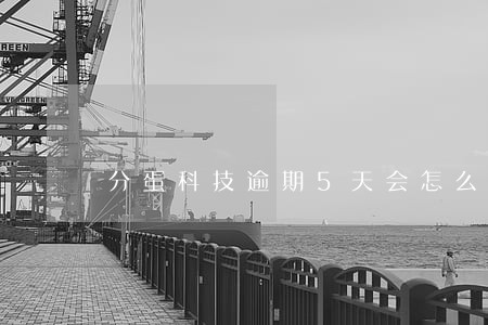 分蛋科技逾期5天会怎么样 分蛋科技逾期5天会怎么样