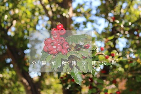 分装酒精售卖违法吗 分装酒精售卖违法吗