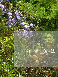 分销商法律关系 分销商法律关系