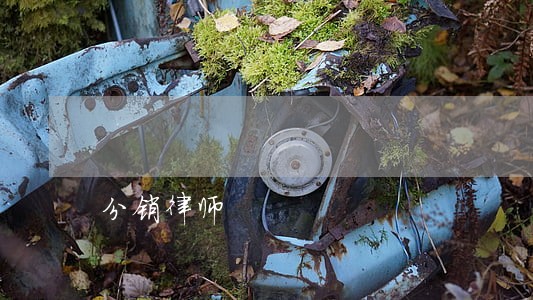 分销律师 分销律师
