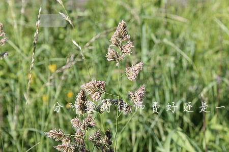 分阶段付律师费好还是一次付清好 分阶段付律师费好还是一次付清好
