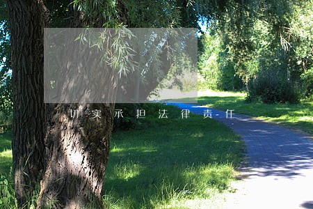 切实承担法律责任 切实承担法律责任