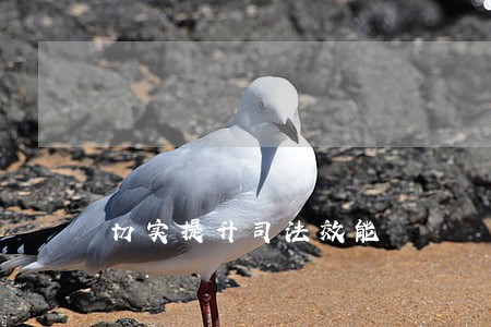 切实提升司法效能