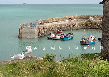 切实提高法规规章质量水平 切实提高法规规章质量水平