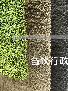 刍议行政公益诉讼 刍议行政公益诉讼