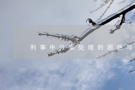 刑事中分案处理的困惑与出路 刑事中分案处理的困惑与出路