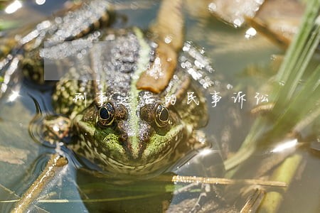 刑事之后的民事诉讼 刑事之后的民事诉讼