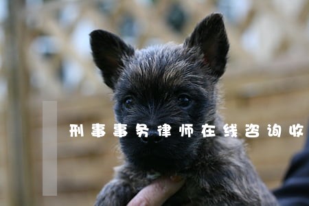 刑事事务律师在线咨询收费标准 刑事事务律师在线咨询收费标准