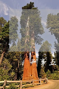 刑事五年内信用卡逾期会立案吗 刑事五年内信用卡逾期会立案吗