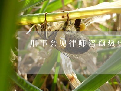 刑事会见律师咨询热线 刑事会见律师咨询热线