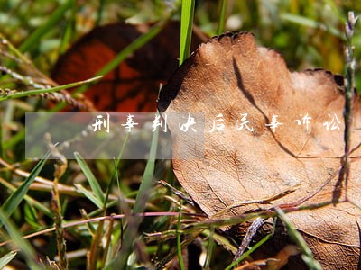 刑事判决后民事诉讼